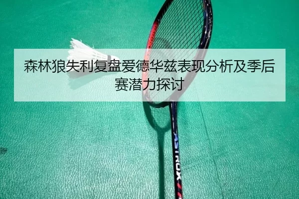 森林狼失利复盘爱德华兹表现分析及季后赛潜力探讨